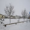 la grande nevicata del febbraio 2012 075